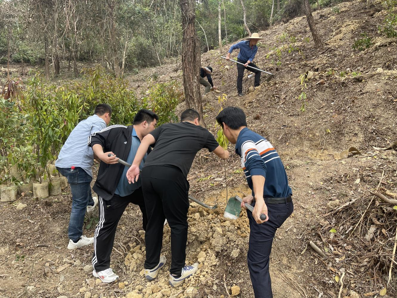 植樹2.png