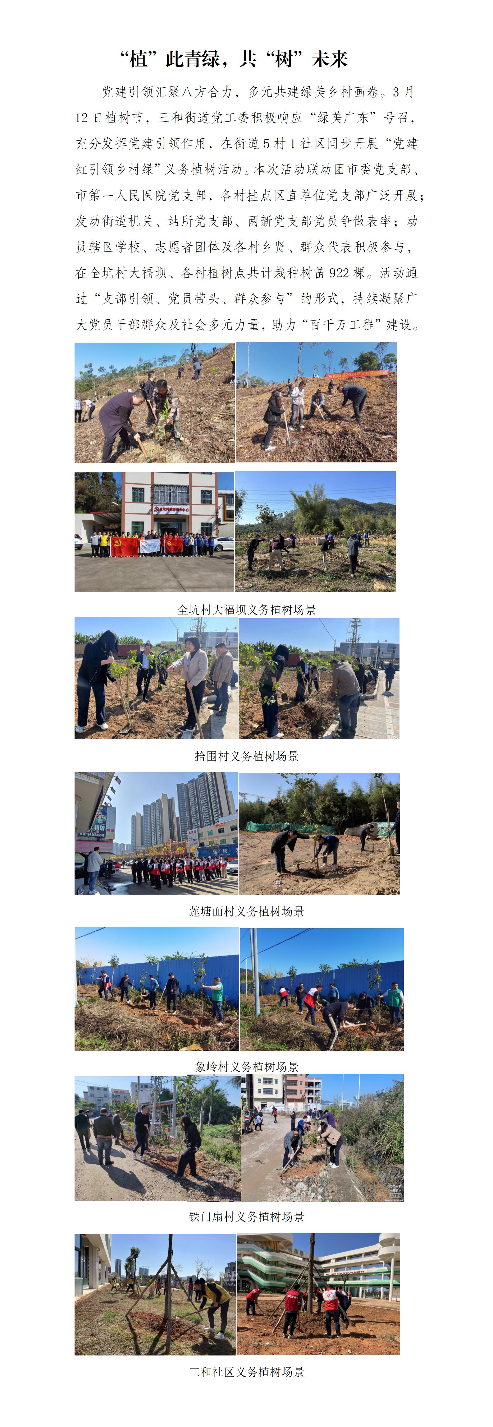 植此青綠，共樹未來_01.jpg