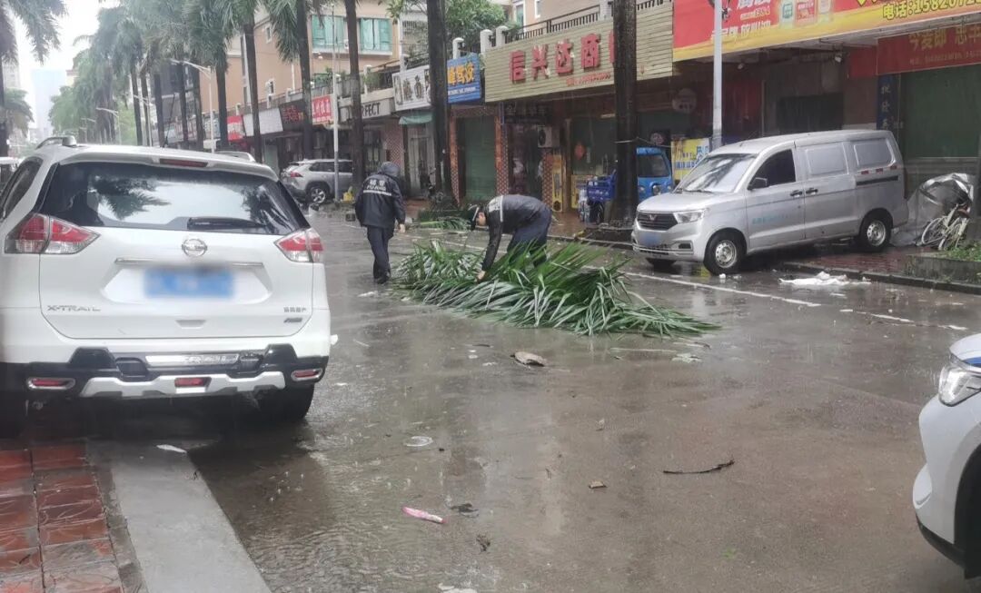圖片