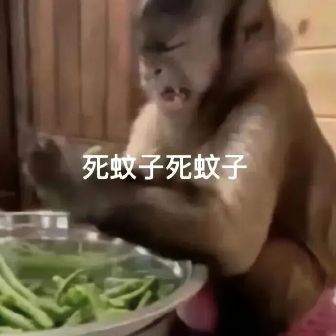 圖片10.jpg