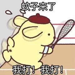 圖片11.jpg