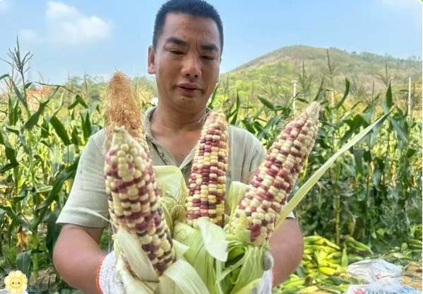 微信圖片_20260330093110_138_193.png